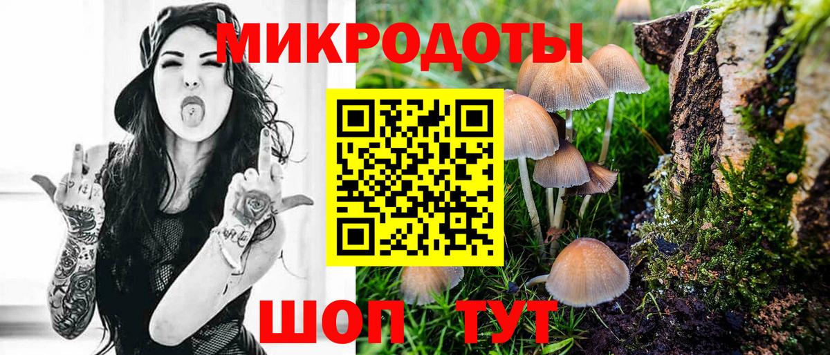 Псилоцибиновые грибы Psilocybe  Вход с VPN  Кингисепп 